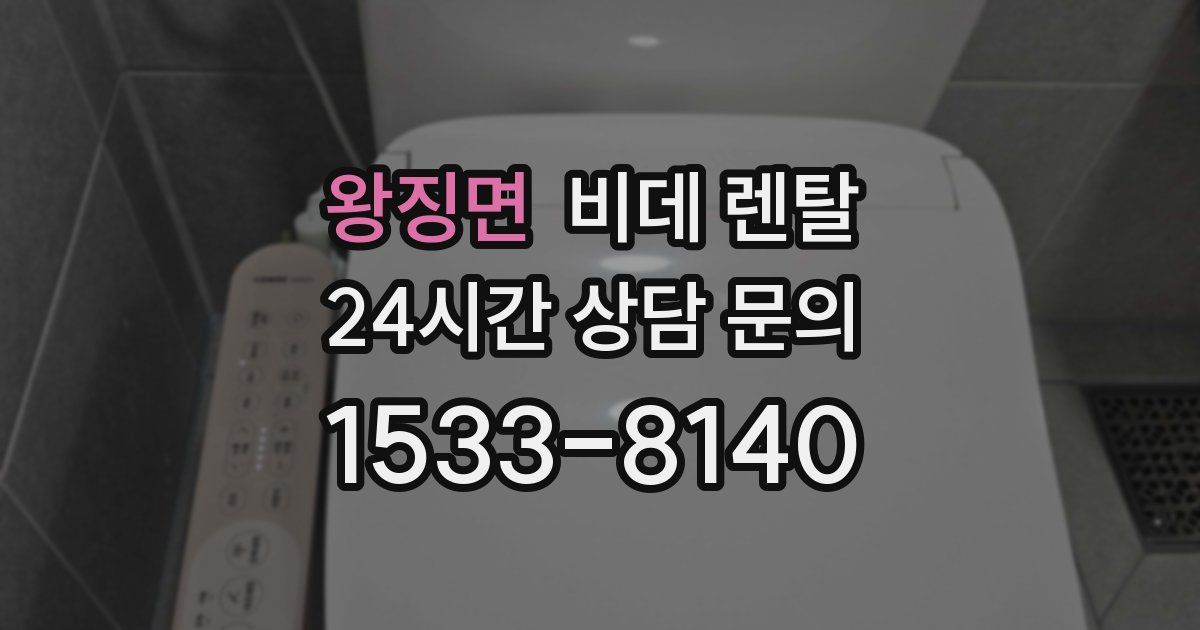 왕징면 비데 렌탈