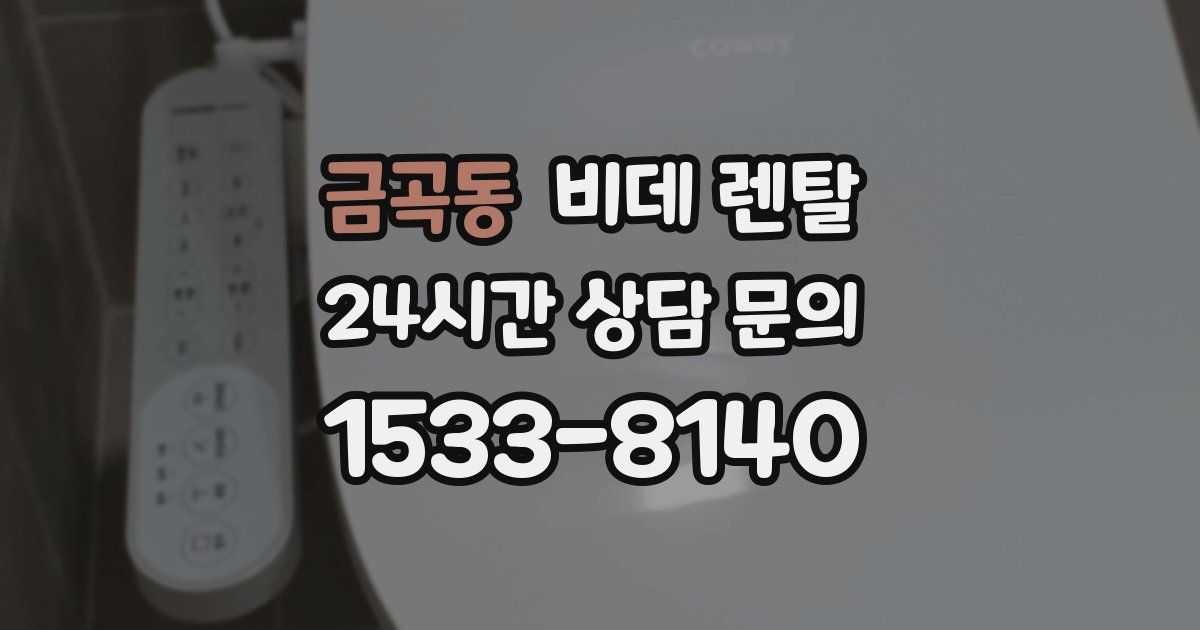 금곡동 비데 렌탈