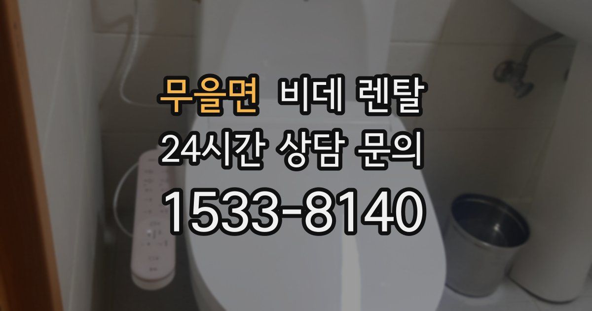 무을면 비데 렌탈