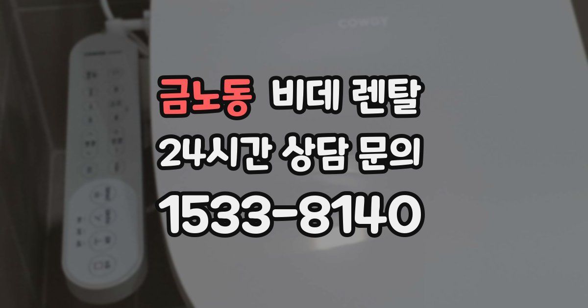 금노동 비데 렌탈