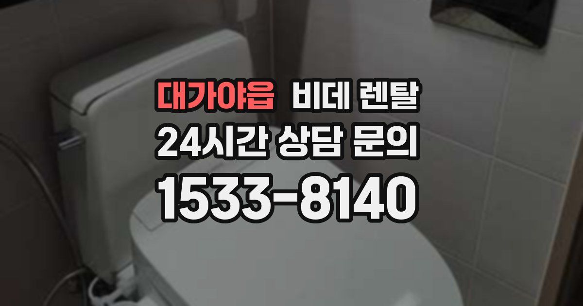 대가야읍 비데 렌탈