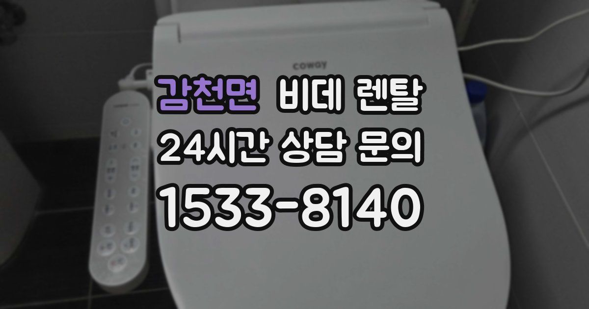 감천면 비데 렌탈