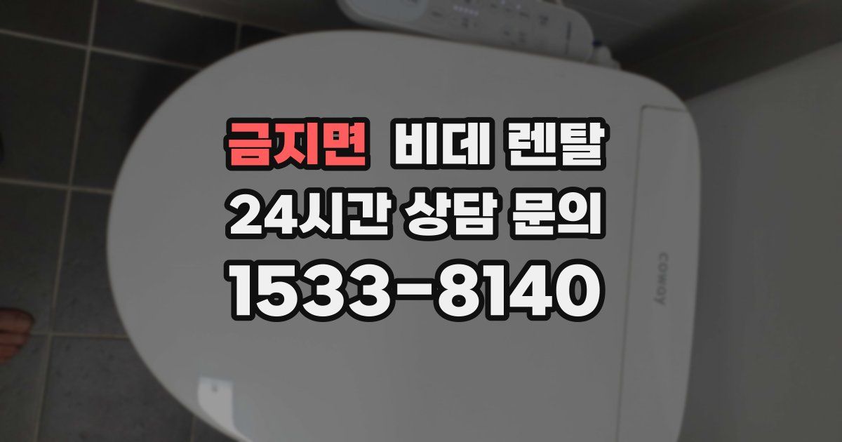 금지면 비데 렌탈