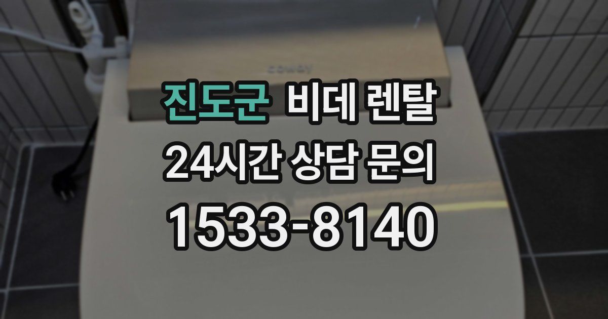 진도군 비데 렌탈