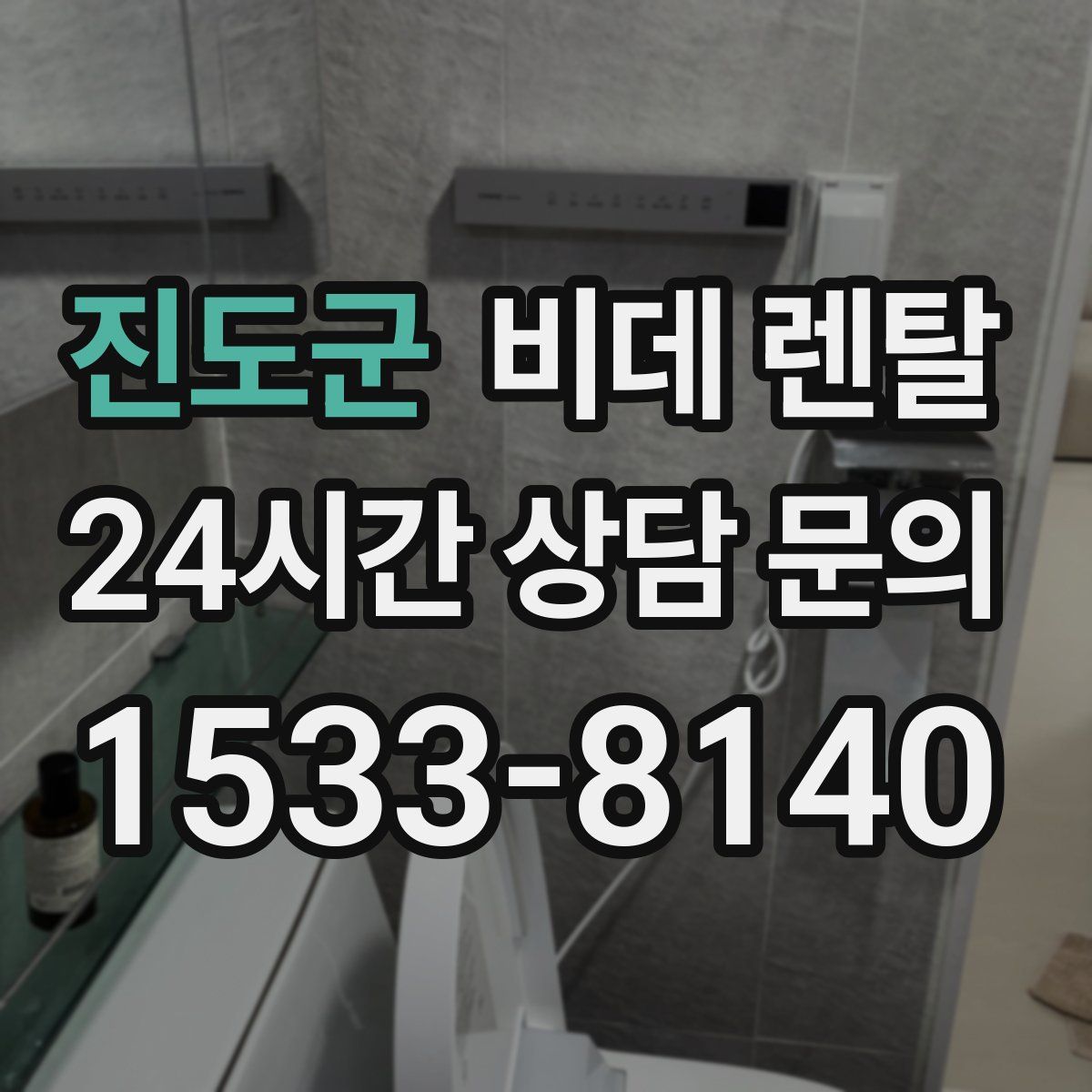 진도군 비데 렌탈