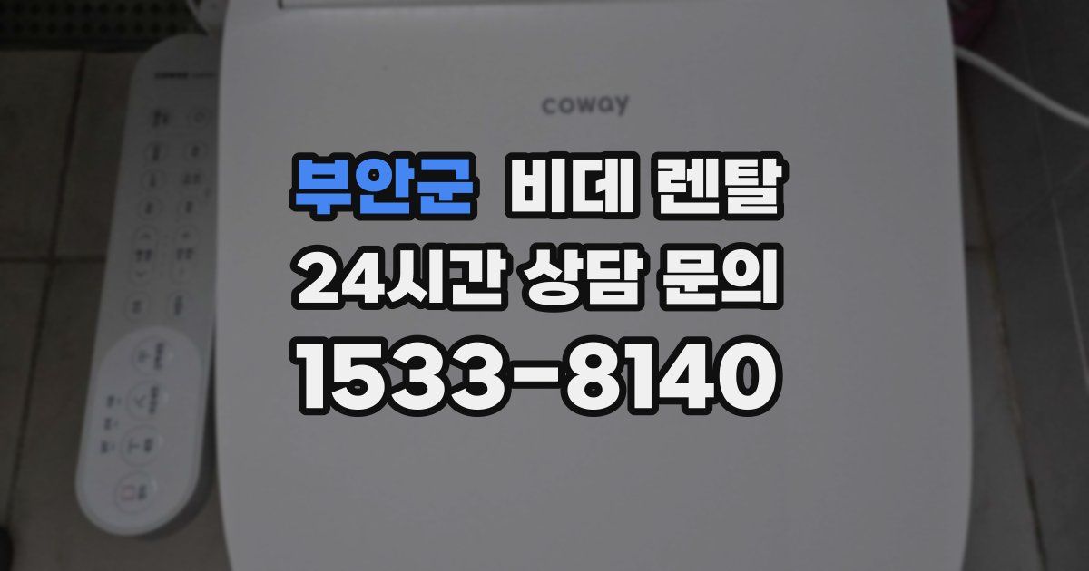 부안군 비데 렌탈