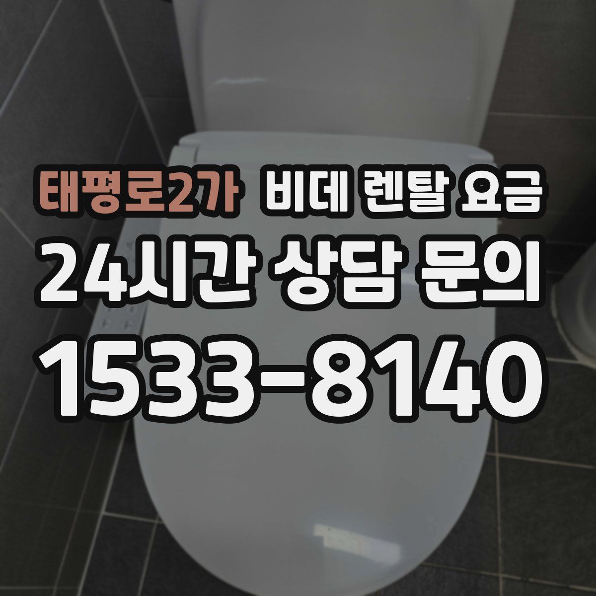 태평로2가 비데 렌탈 요금
