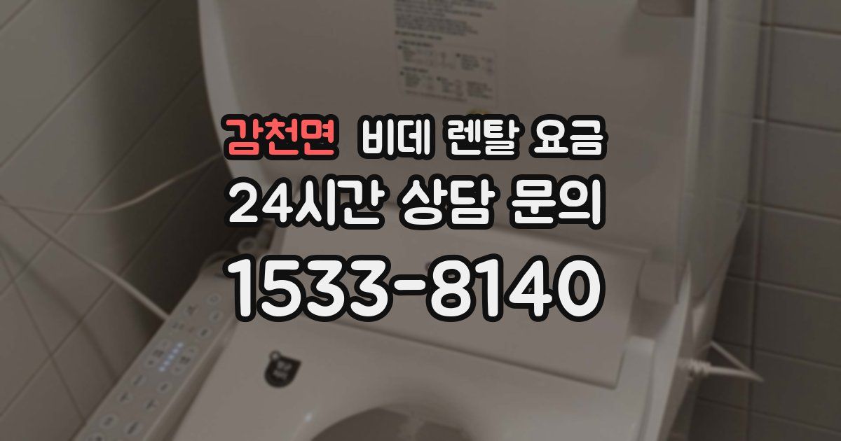 감천면 비데 렌탈 요금