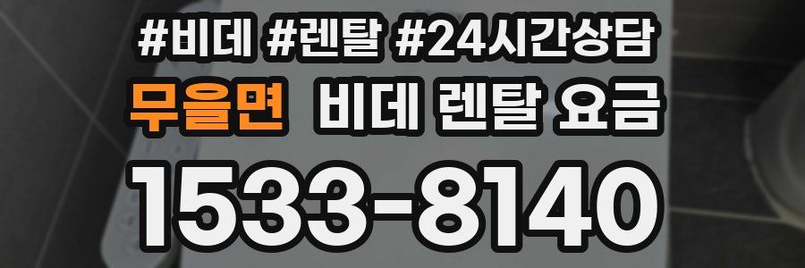 무을면 비데 렌탈 요금
