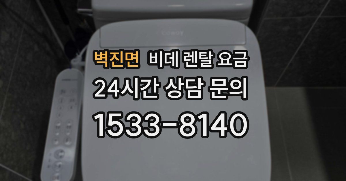 벽진면 비데 렌탈 요금