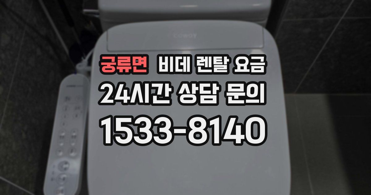궁류면 비데 렌탈 요금