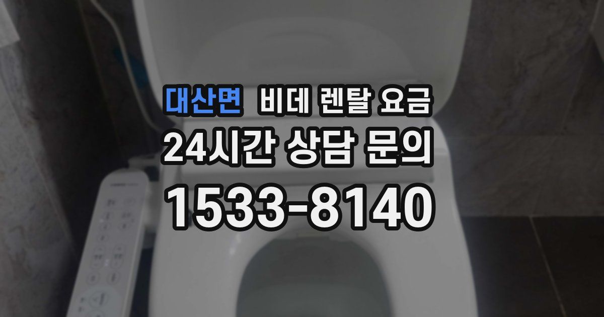 대산면 비데 렌탈 요금