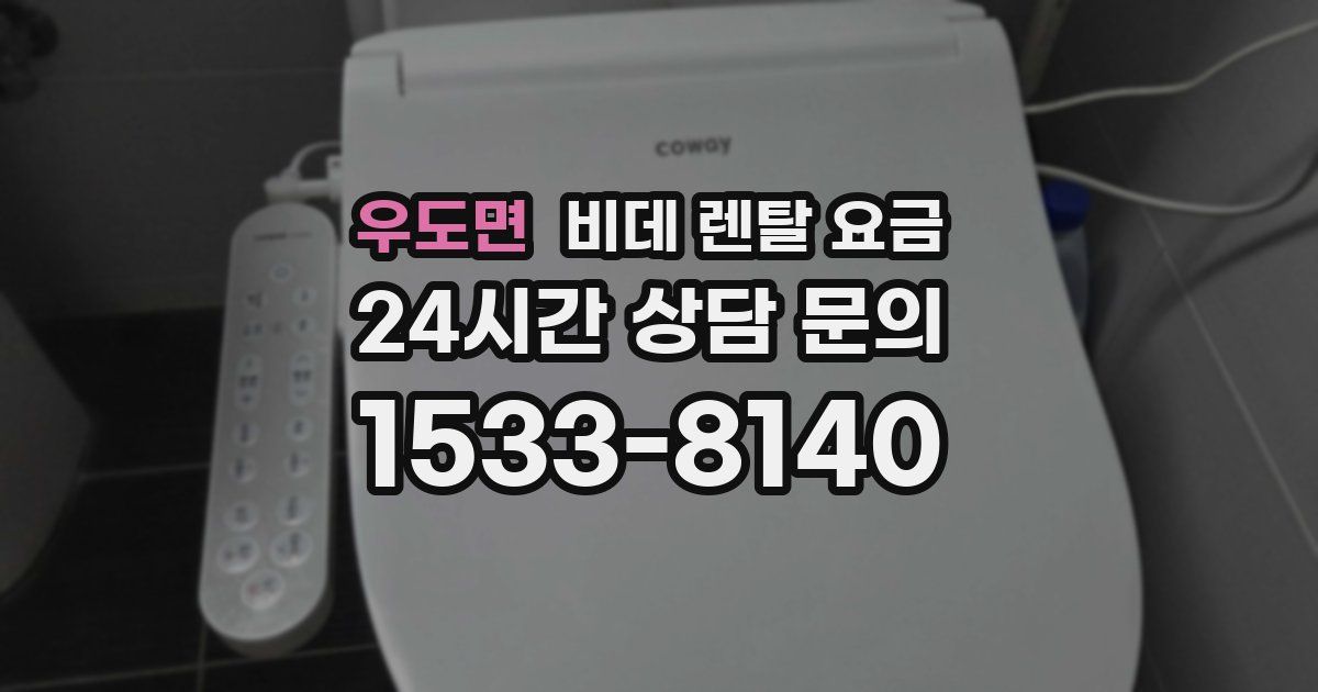 우도면 비데 렌탈 요금