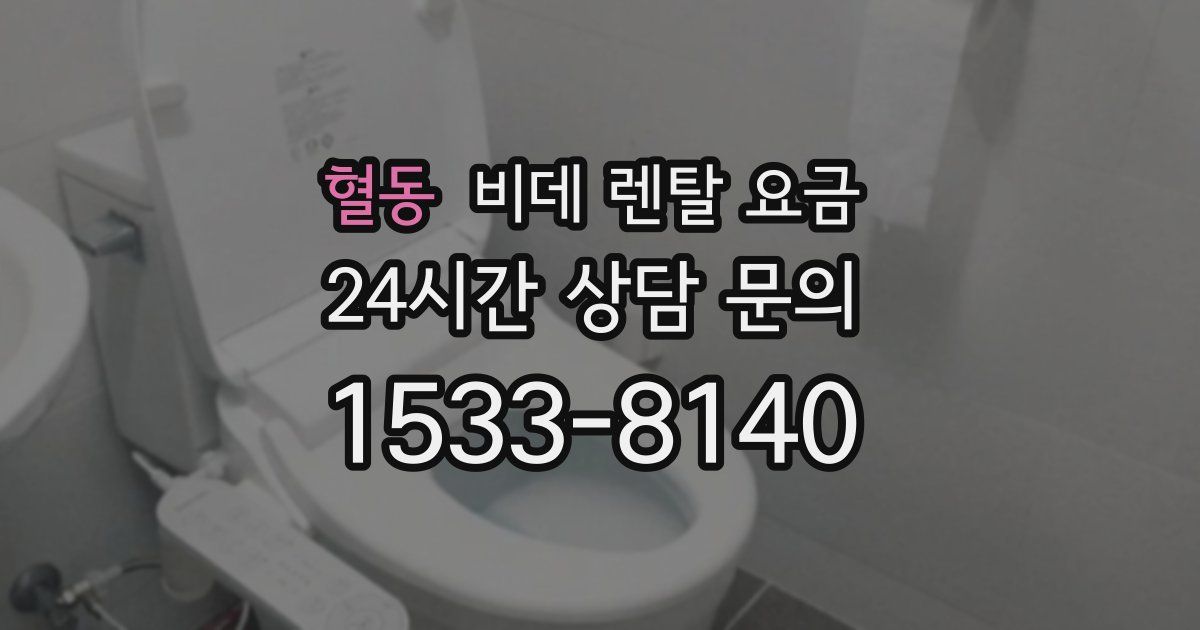 혈동 비데 렌탈 요금
