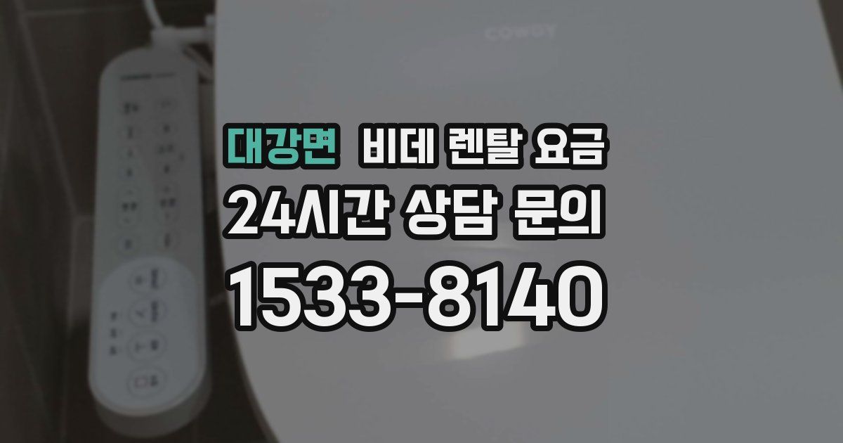 대강면 비데 렌탈 요금