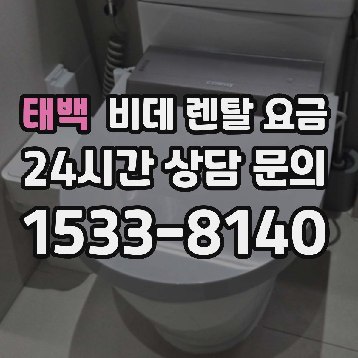 태백 비데 렌탈 요금