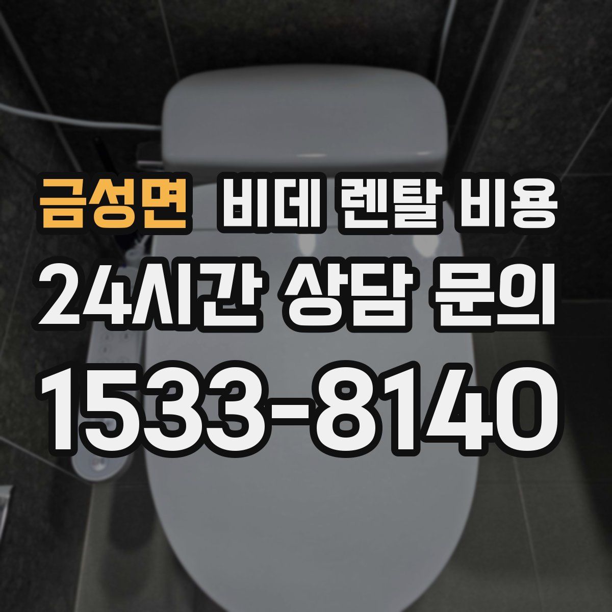 금성면 비데 렌탈 비용