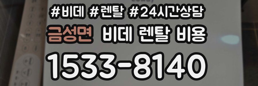 금성면 비데 렌탈 비용