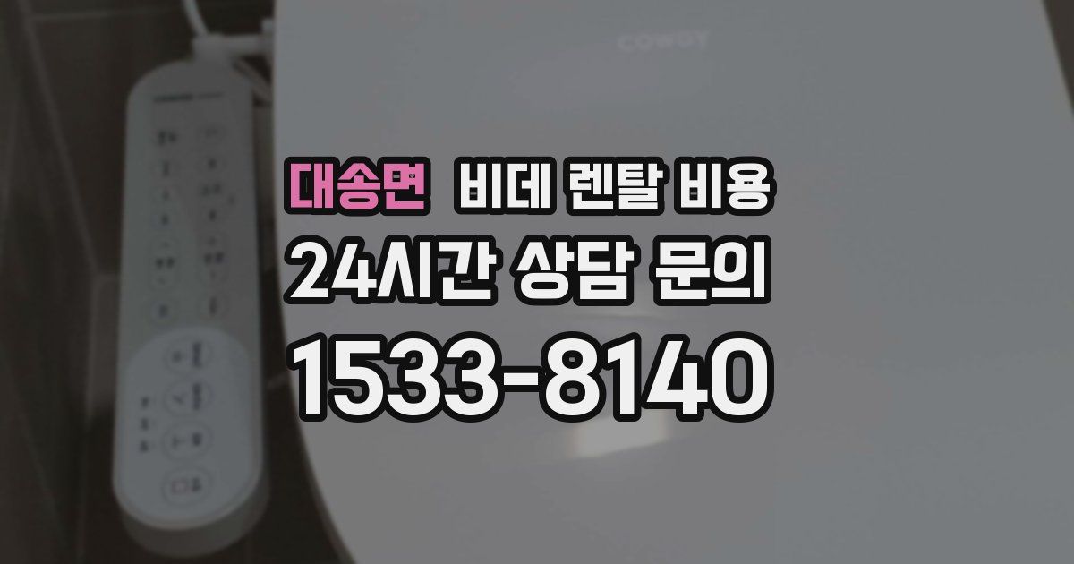 대송면 비데 렌탈 비용