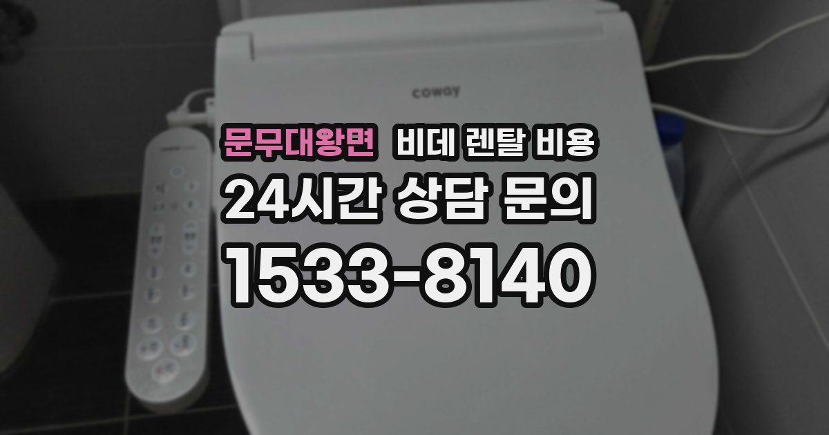문무대왕면 비데 렌탈 비용