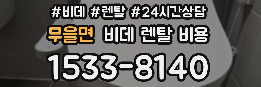 무을면 비데 렌탈 비용