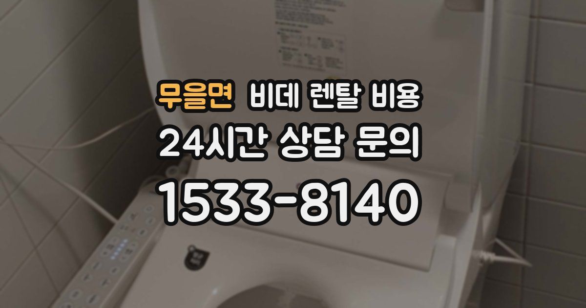 무을면 비데 렌탈 비용