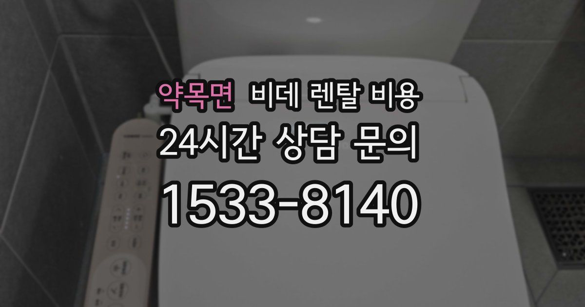 약목면 비데 렌탈 비용