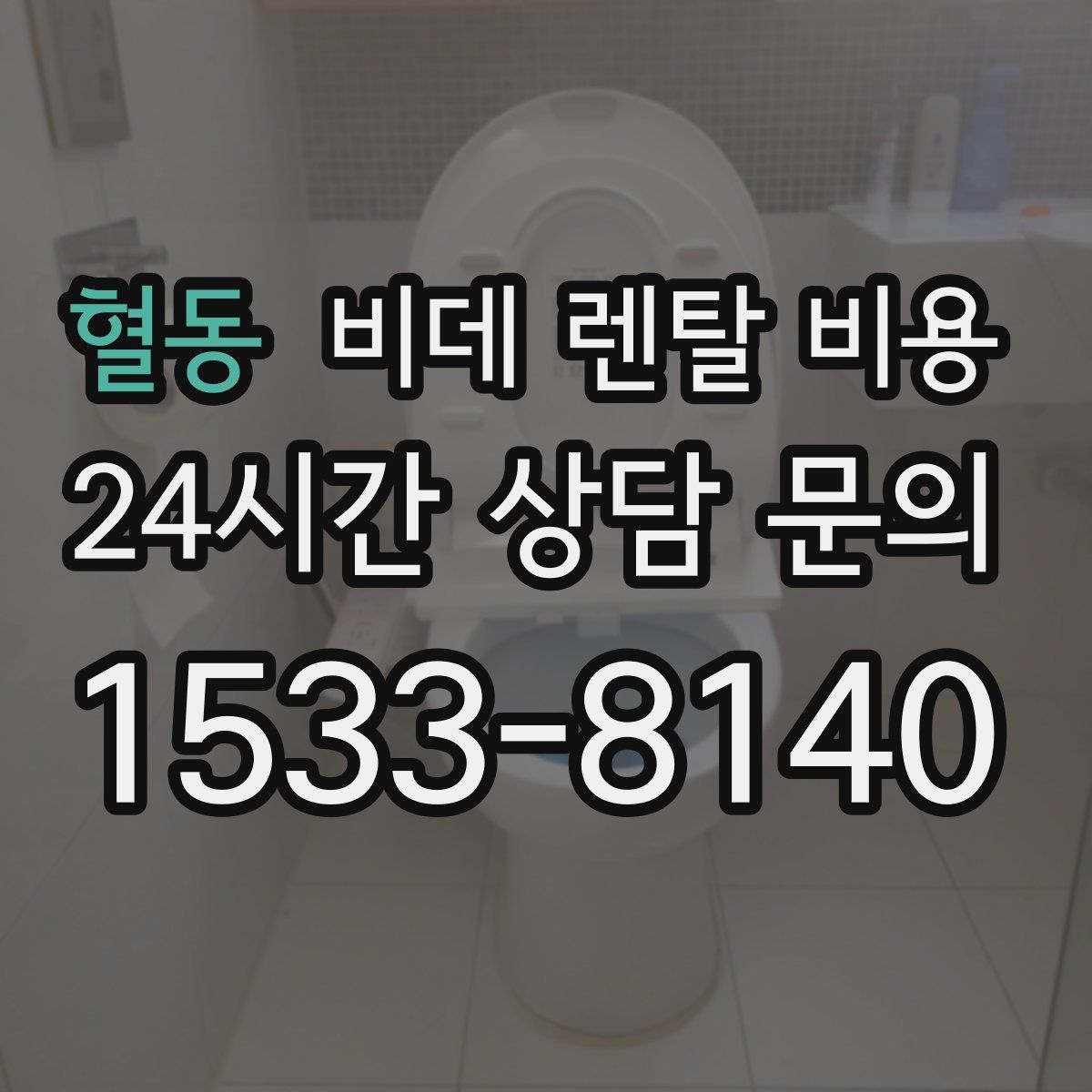 혈동 비데 렌탈 비용