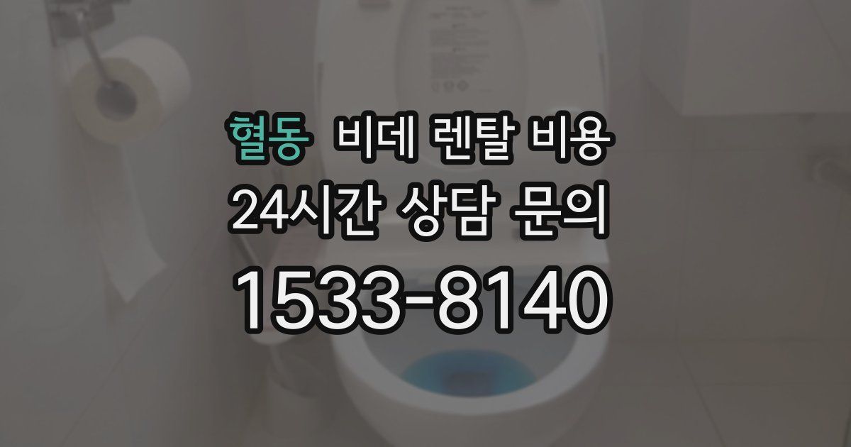 혈동 비데 렌탈 비용