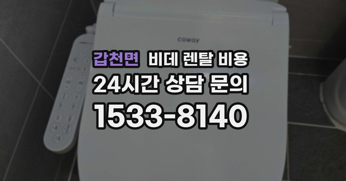 갑천면 비데 렌탈 비용