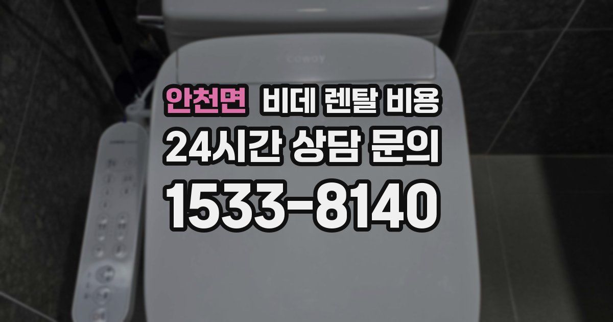 안천면 비데 렌탈 비용