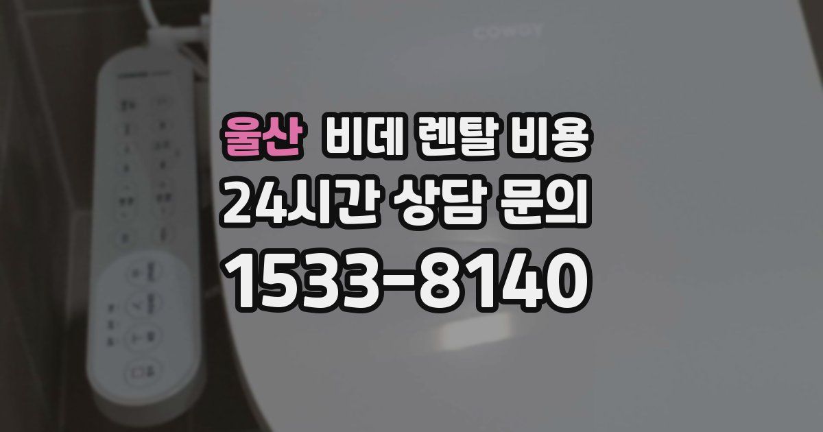 울산 비데 렌탈 비용
