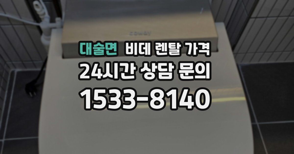 대술면 비데 렌탈 가격