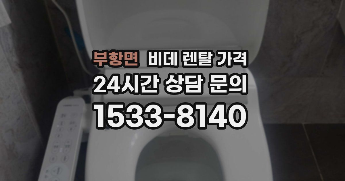 부항면 비데 렌탈 가격
