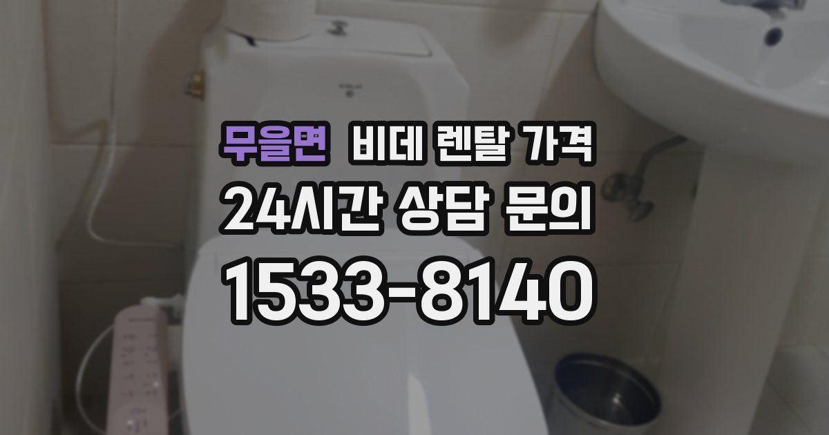 무을면 비데 렌탈 가격