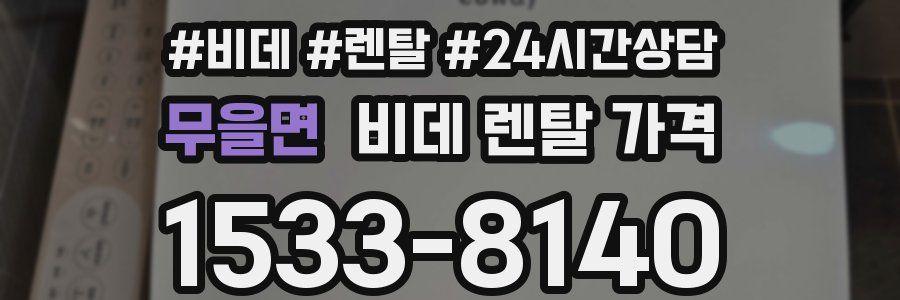 무을면 비데 렌탈 가격