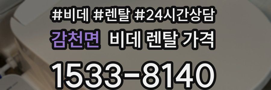 감천면 비데 렌탈 가격