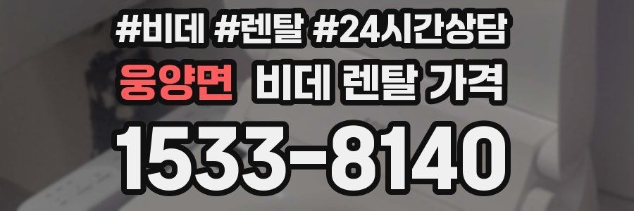 웅양면 비데 렌탈 가격