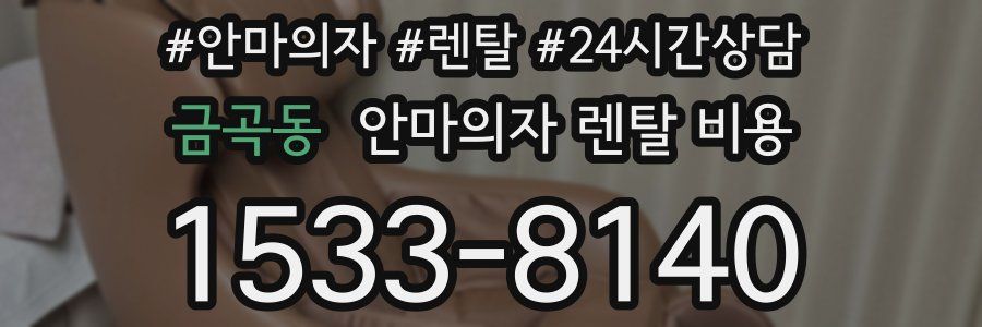 금곡동 안마의자 렌탈 비용