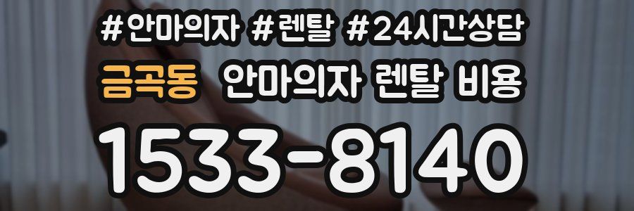 금곡동 안마의자 렌탈 비용