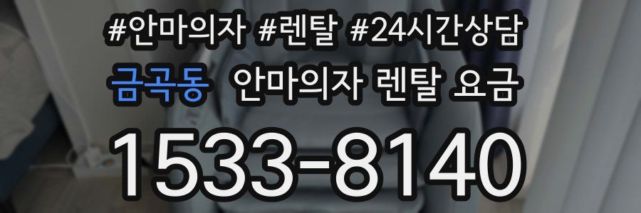 금곡동 안마의자 렌탈 요금