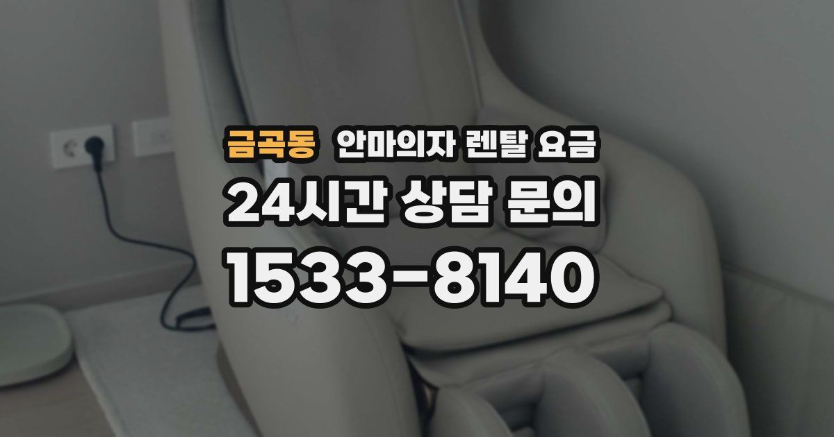 금곡동 안마의자 렌탈 요금