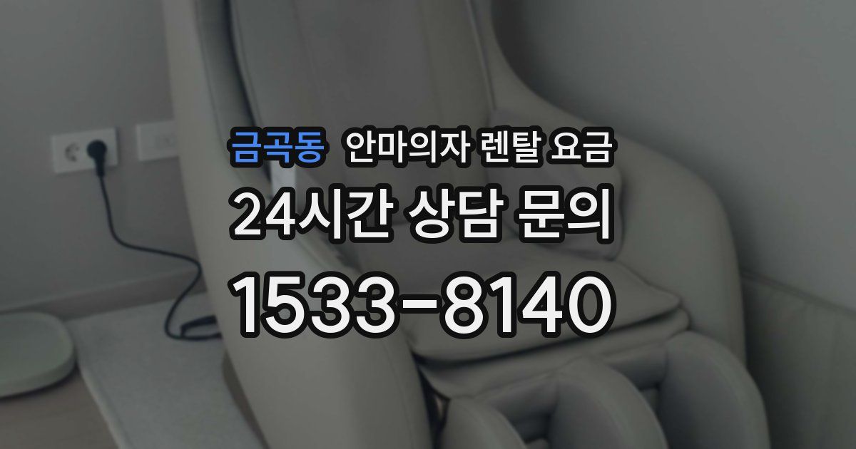 금곡동 안마의자 렌탈 요금