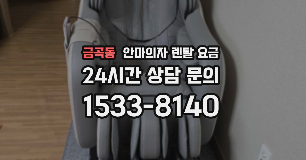 금곡동 안마의자 렌탈 요금