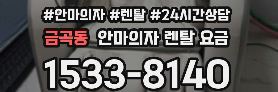 금곡동 안마의자 렌탈 요금