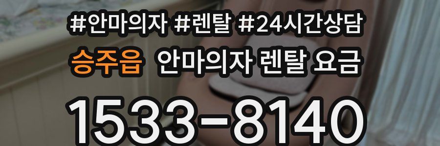 승주읍 안마의자 렌탈 요금