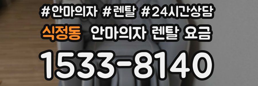 식정동 안마의자 렌탈 요금