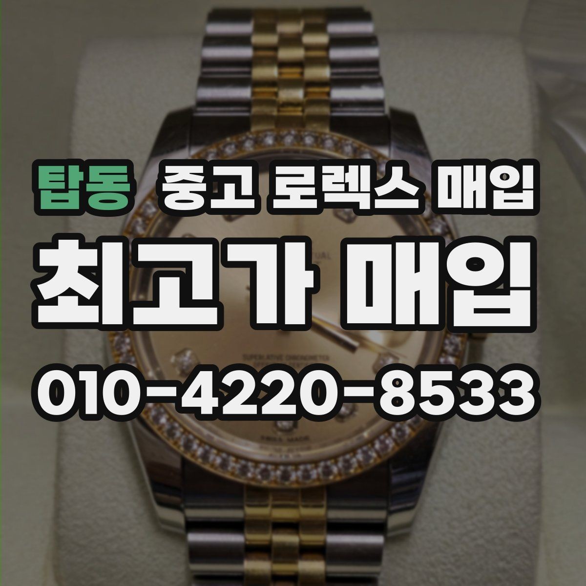 탑동 중고 로렉스 매입 시세가 오르는 시기와 떨어지는 시기