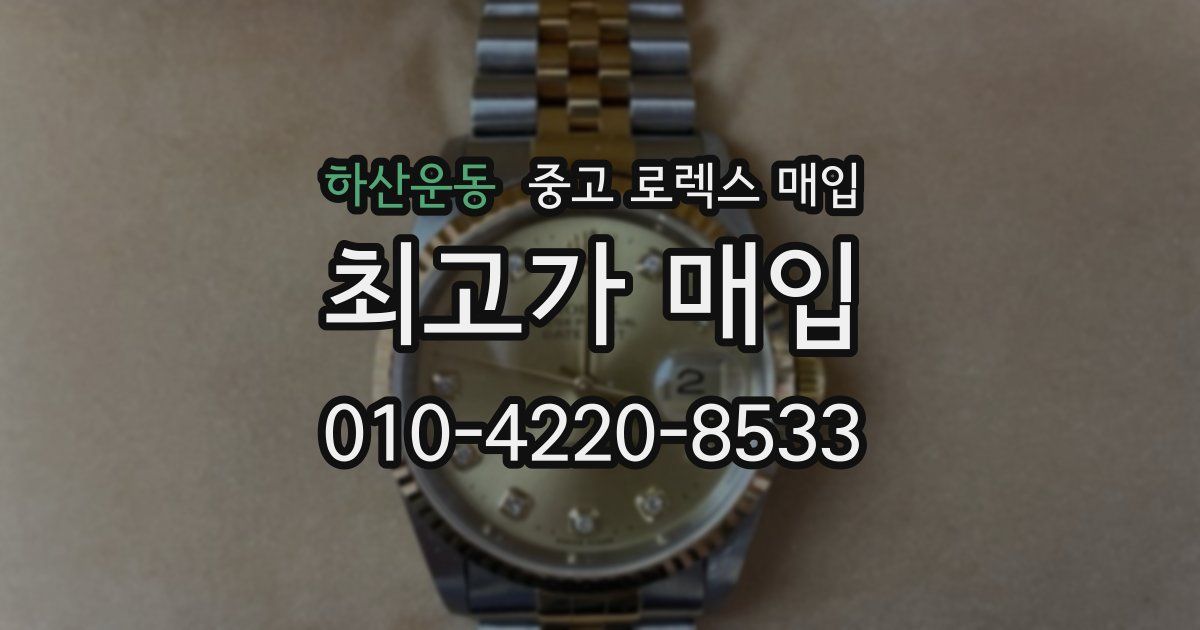 하산운동 중고 로렉스 매입
