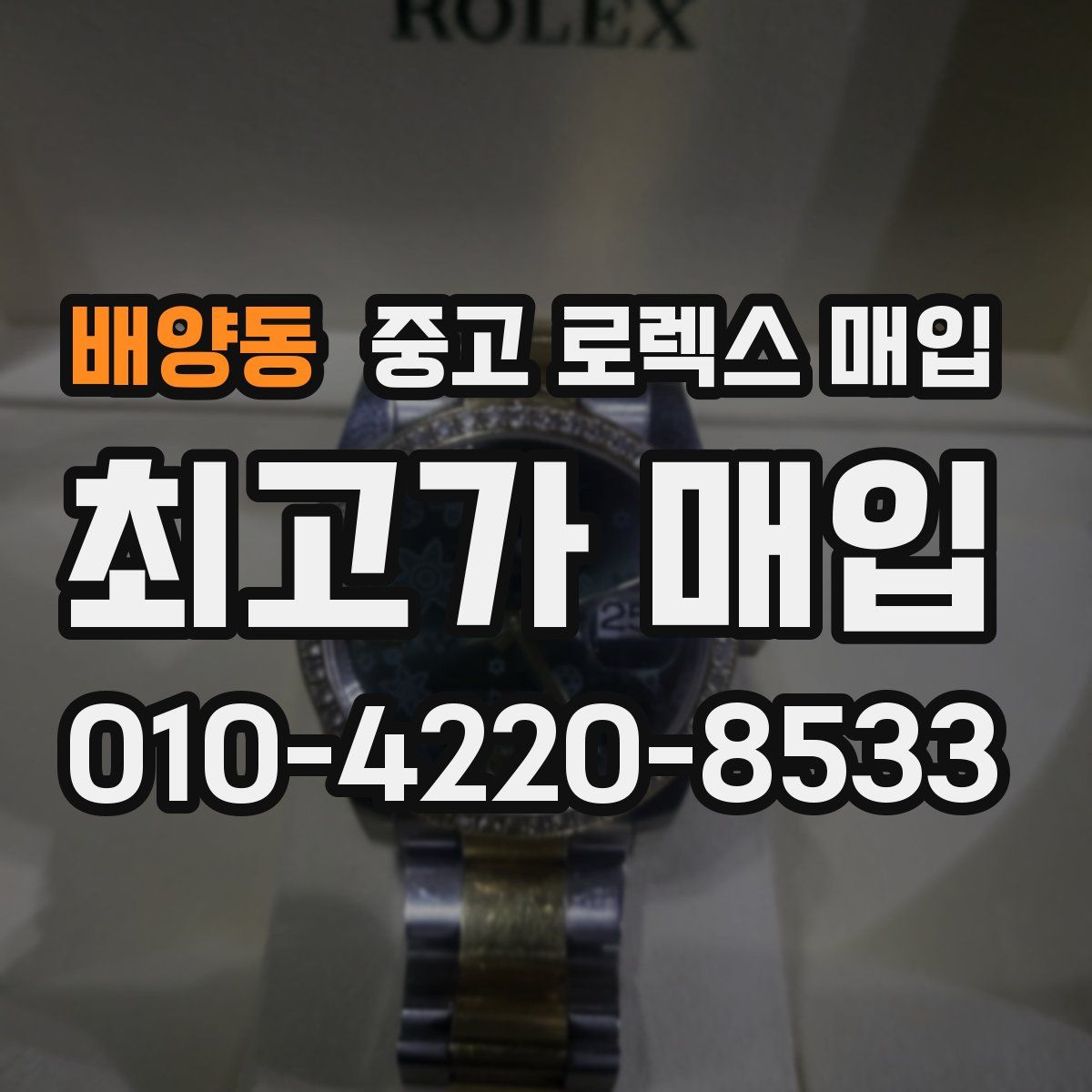 배양동 중고 로렉스 매입